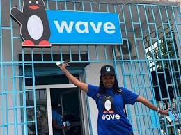 Wave, Senegal-Based Fintech, Raises $200 Million in Funding