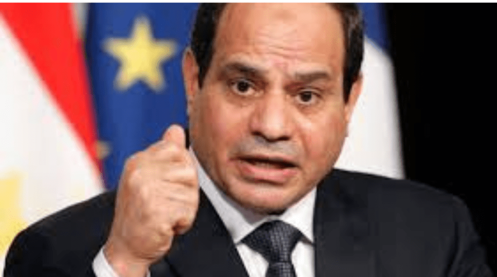 Egyptian policymaker