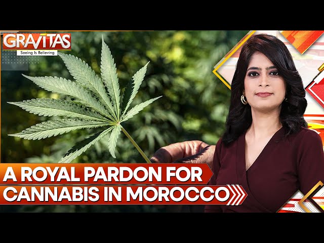 Morocco pardons nearly 5,000 cannabis farming convicts