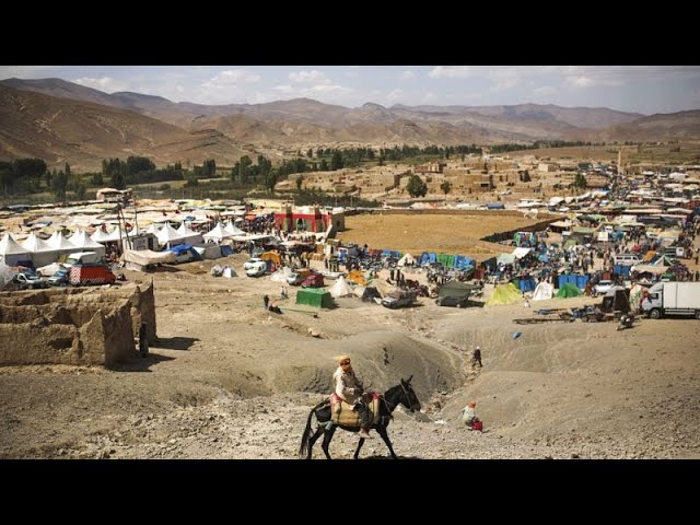 Morocco celebrates Festibaz donkey festival