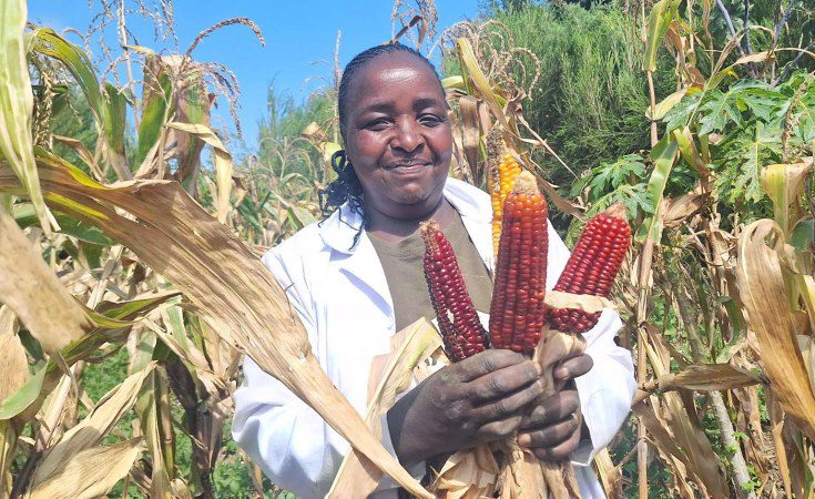 Kenyan Agricultural Cooperatives: Sowing Seeds of Change