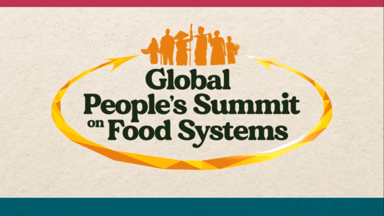 Global Groups Challenge UN Food Summit, Demand Climate Action