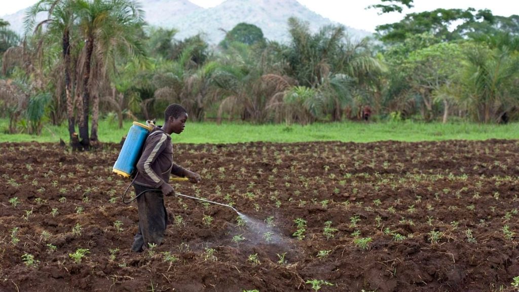 Consumers wary of pesticide residue on foods