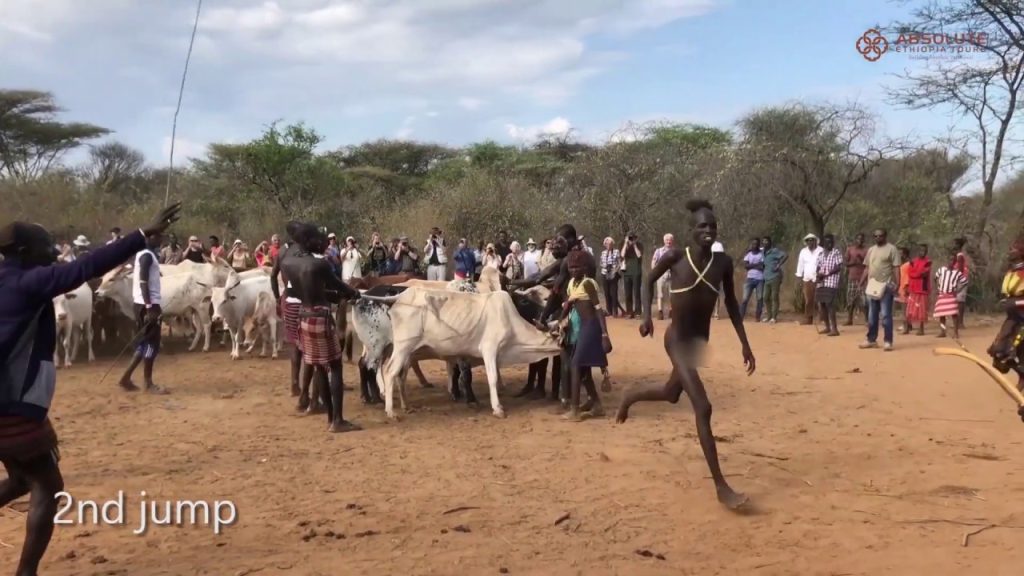 Bull Jumping