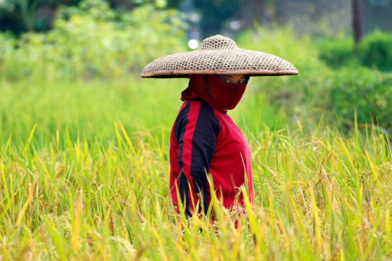 Rural Women Fight for Rights and Food Security