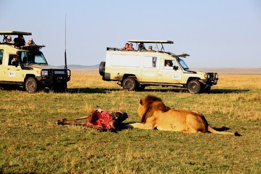 Kenya’s Tourism