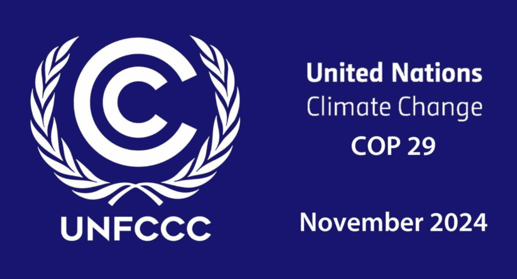 COP29