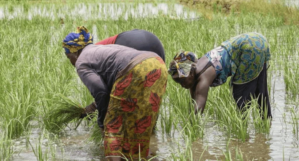 Agriculture and Entrepreneurship