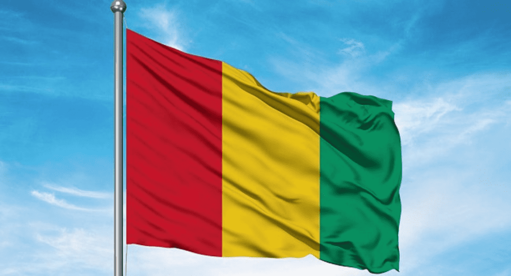 Guinea Flag