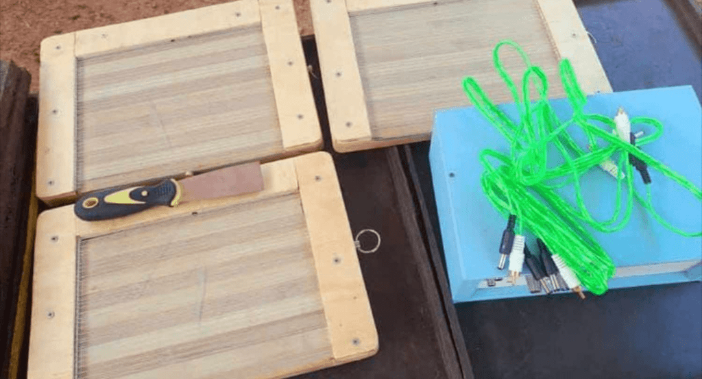 Bee Venom Collector