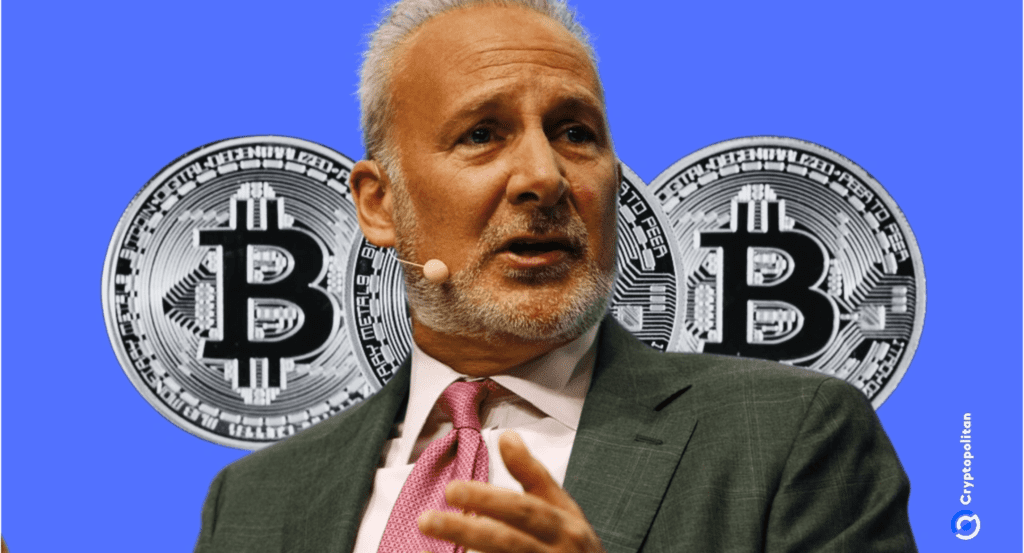 Peter Schiff mocks Bitcoin Drop