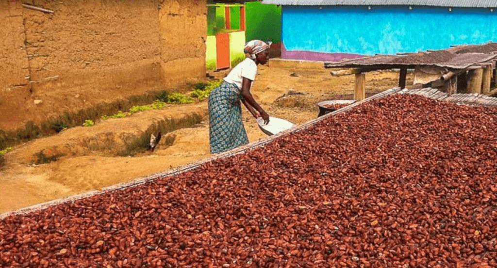 Ghana seeks Indian investment