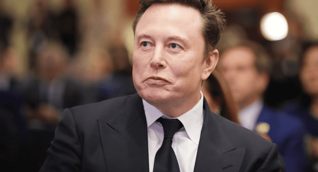 Elon Musk Tesla stock drop