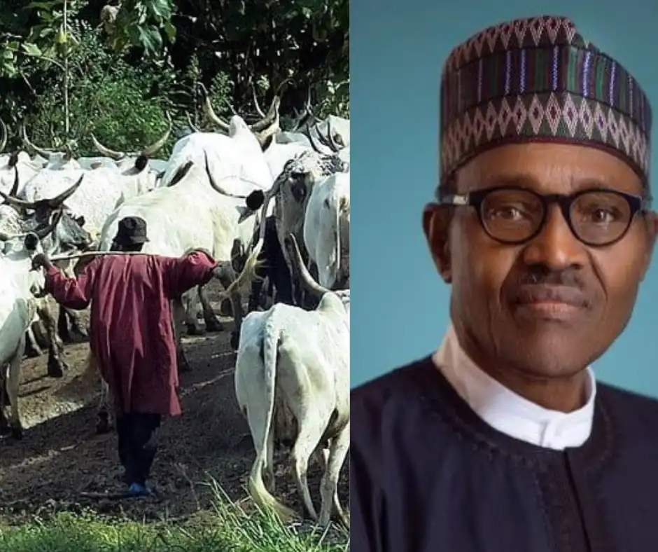 Buhari's Legacy