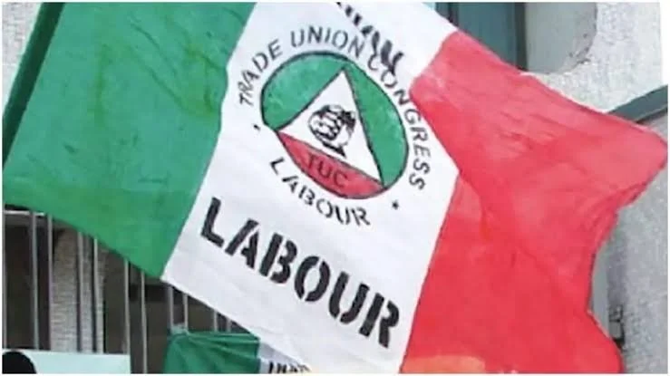 NLC