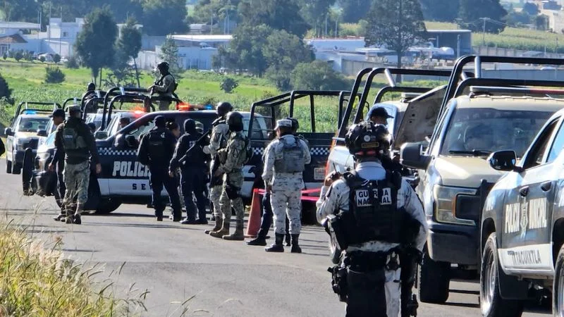 Six severed human head on Mexico